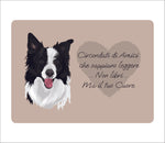 TOVAGLIETTA BORDER COLLIE LUXURY