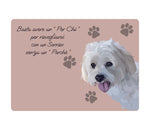 TOVAGLIETTA CANE MALTESE