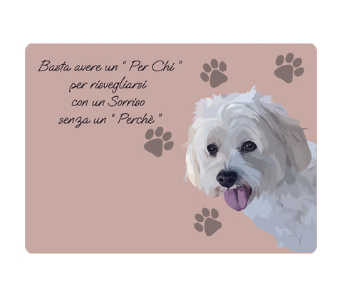 TOVAGLIETTA CANE MALTESE